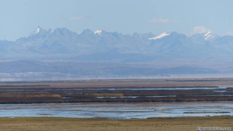 lago junin 002